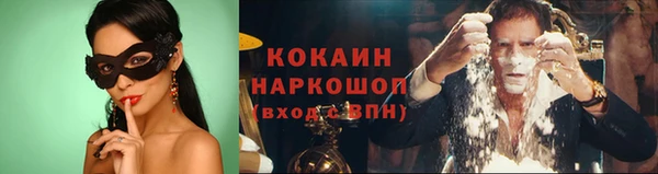мяу мяу мука Арсеньев