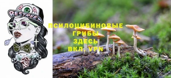 мяу мяу мука Арсеньев