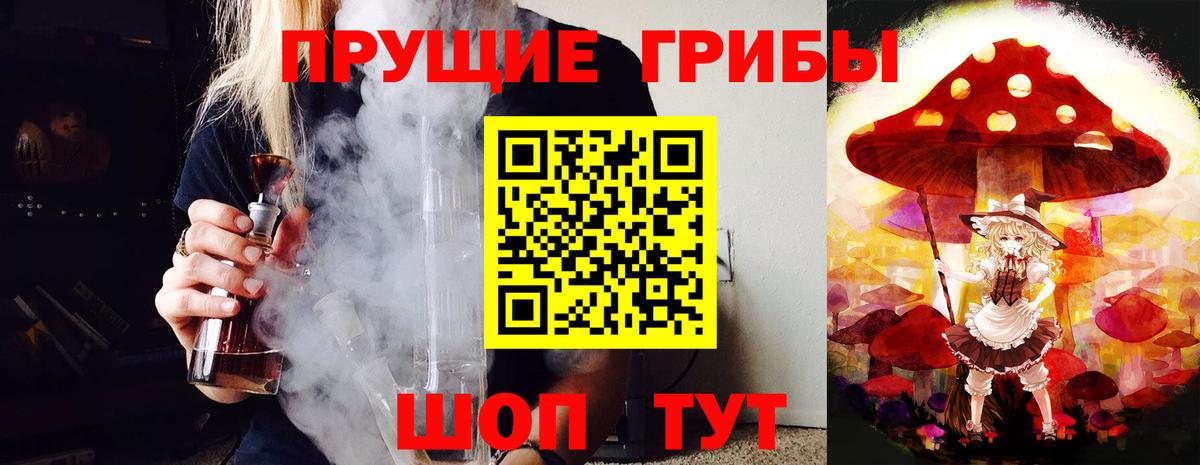 Бердск  Галлюциногенные грибы Psilocybe  Псилоцибиновые грибы Cubensis  Вход с VPN 